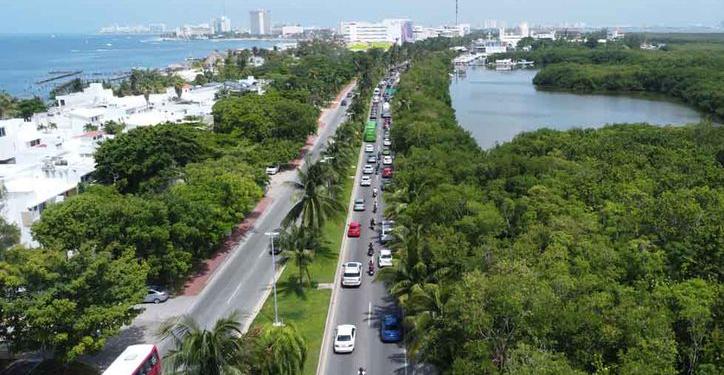 Humedales en Quintana Roo: Tesoros en Peligro