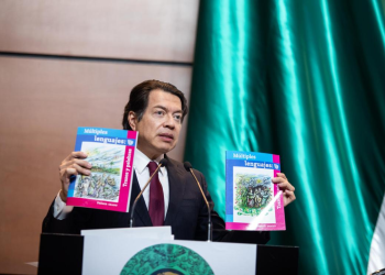 Comités de Defensa de la Nueva Escuela Mexicana surgen en México