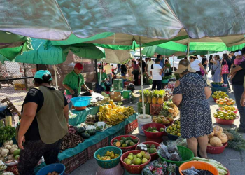 Tianguis Cancún normalidad tras jornada violenta