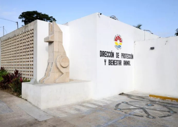 Centro de Bienestar Animal Cancún Reabre Puertas