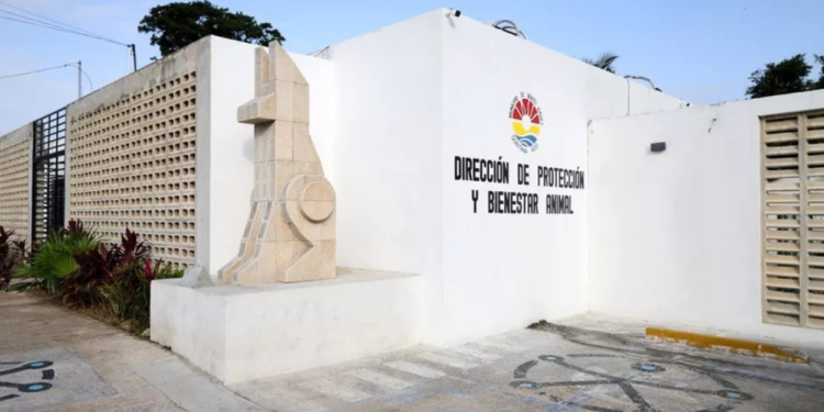 Centro de Bienestar Animal Cancún Reabre Puertas
