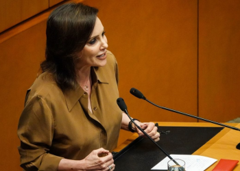 Senate beauty salon controversy Mexico: Téllez pide transparencia