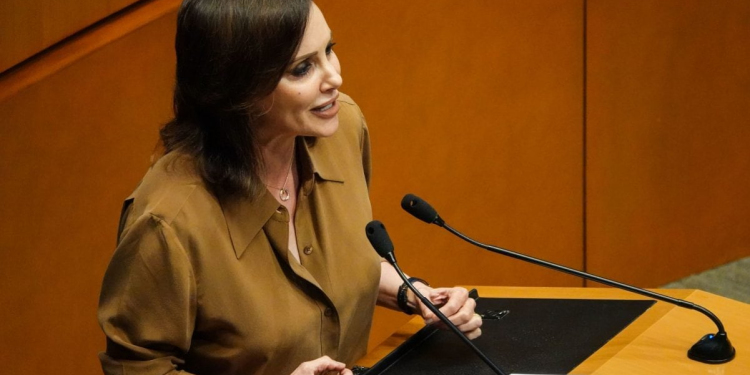 Senate beauty salon controversy Mexico: Téllez pide transparencia