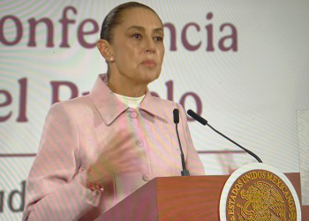 Perfect Day Mahahual: Clausura por Profepa