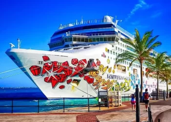 Ambientalistas celebran cancelación del cuarto muelle de cruceros en Cozumel