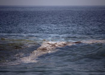 Greenpeace advierte impacto severo por mancha de crudo en el Golfo de México
