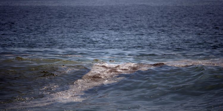Greenpeace advierte impacto severo por mancha de crudo en el Golfo de México