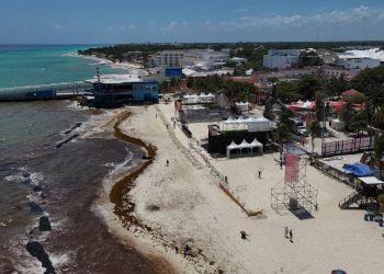 Monitoreo de sargazo en Quintana Roo instalan estaciones para medir riesgos a la salud y al ambiente