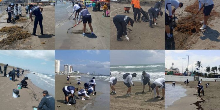 Retiran mas de 700 toneladas de hidrocarburo en el Golfo de Mexico