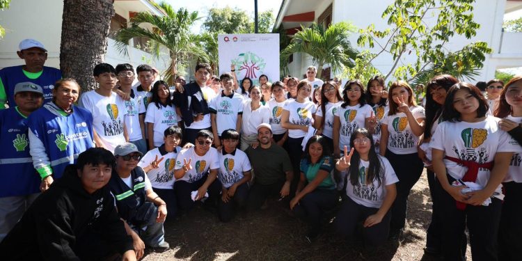 Realizan segunda fase del programa “Arboriza Cancún”