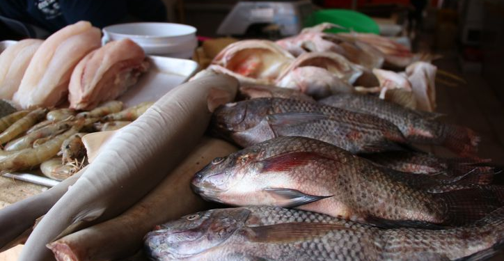 Pescadores Quintana Roo Cuaresma: Demanda y Oportunidades