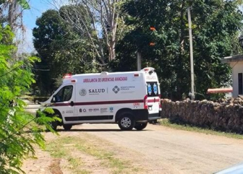 Incidente en Leona Vicario: Hombre Asesinado a Balazos