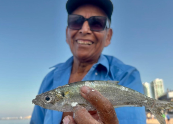 Pescadores Vallarta Mencho: Retoman Vida Normal