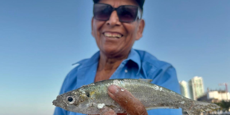 Pescadores Vallarta Mencho: Retoman Vida Normal