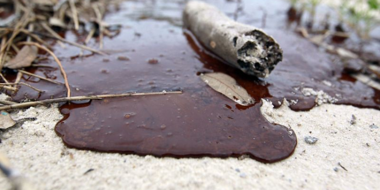 Derrame petrolero en el Golfo de México: origen y daños