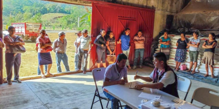 Fertilizantes para el Bienestar: Apoyo Gratuito a 618 mil Productores