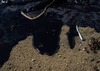 Más de 30 toneladas de crudo han sido retiradas de playas en Veracruz