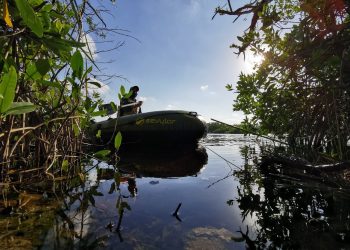 Autoridades municipales inician monitoreo de agua en cenotes y lagunas de Cancún