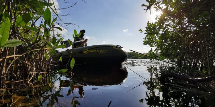 Autoridades municipales inician monitoreo de agua en cenotes y lagunas de Cancún