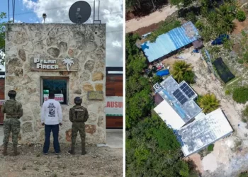 Aseguran terreno en Puerto Morelos por daños ambientales y venta ilegal