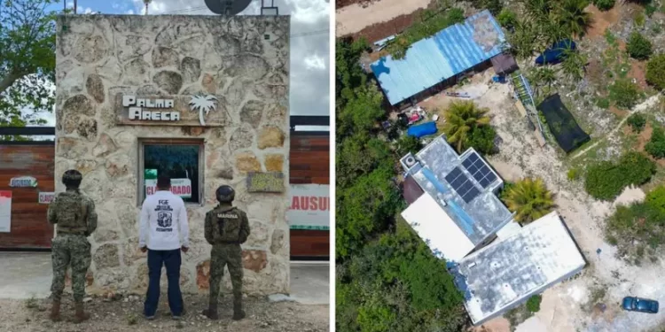 Aseguran terreno en Puerto Morelos por daños ambientales y venta ilegal