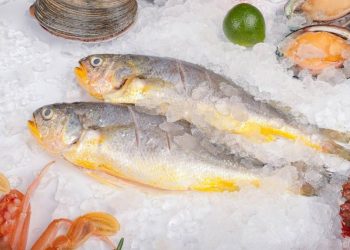 38 del pescado en Mexico no es lo que dicen revelan fraude en mercados y restaurantes