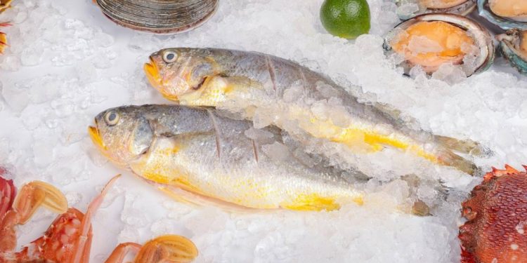 38 del pescado en Mexico no es lo que dicen revelan fraude en mercados y restaurantes