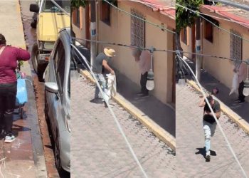 Adultos mayores son atacados por enjambre de abejas en Estipac, Jalisco