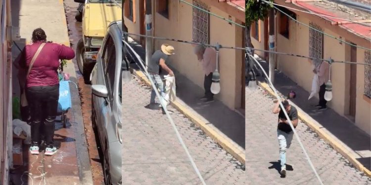Adultos mayores son atacados por enjambre de abejas en Estipac, Jalisco