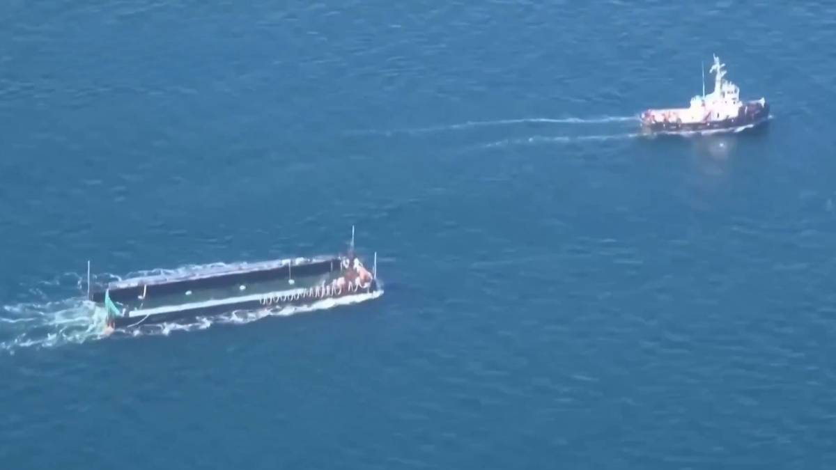 Ballena jorobada ya se encuentra en aguas danesas rumbo al mar del Norte