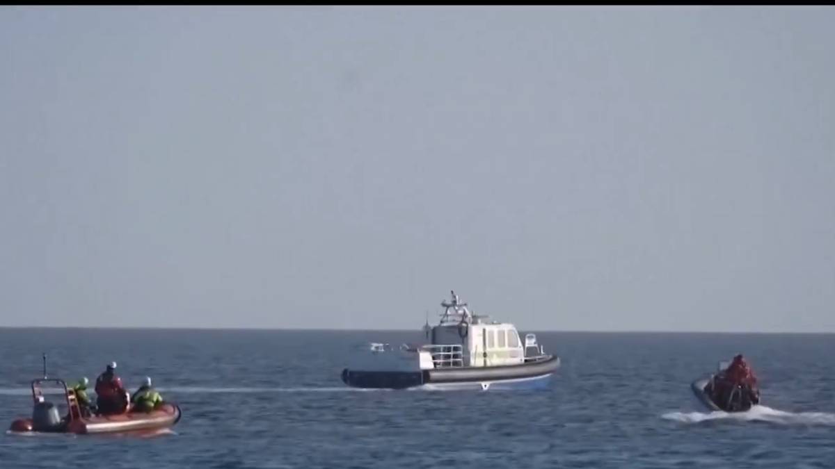 Suspenden rescate de ballena jorobada 