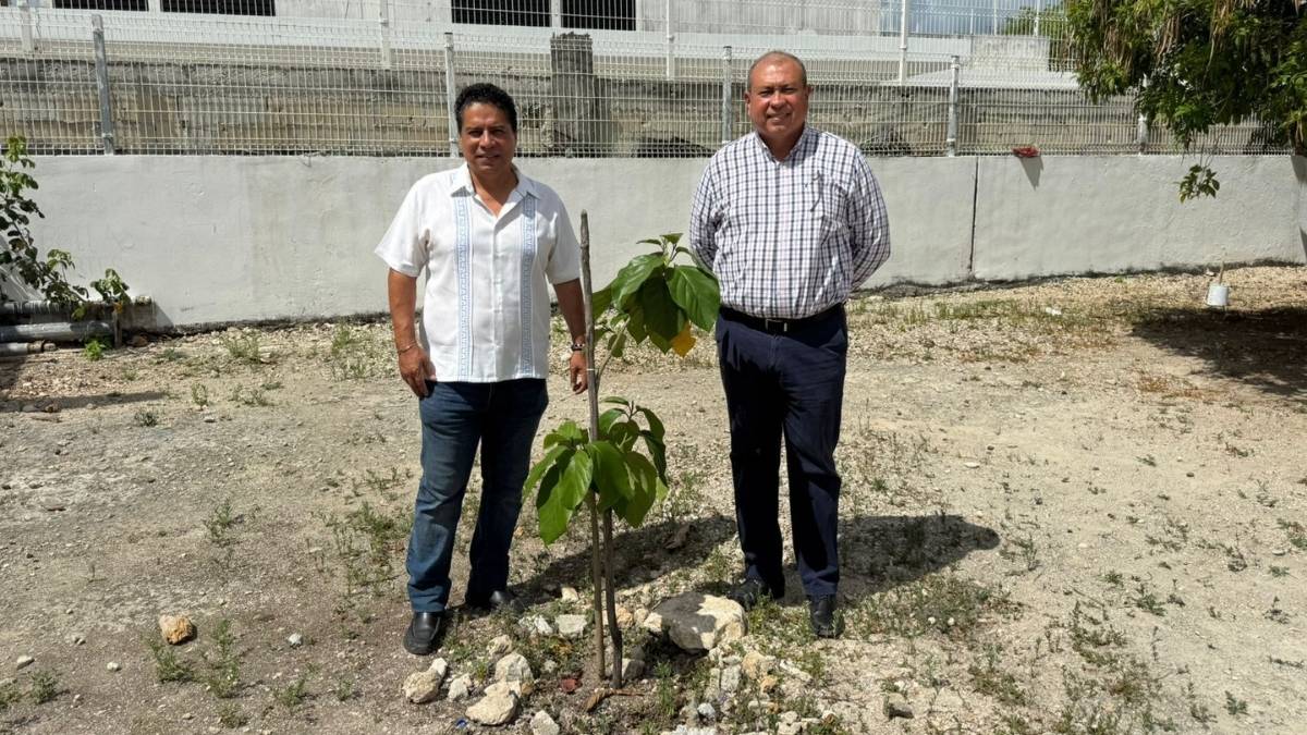Supervisan programa Arboles de la Paz