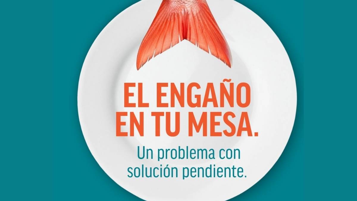Sustituyen especies caras por opciones mas baratas de pescado en Mexico