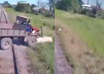 VIDEO: Muere niño por imprudencia de su abuelito en las vías del tren en Vietnam