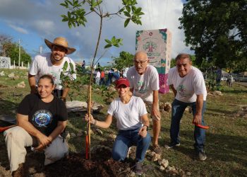 Cancún, por primera vez, recibirá el reconocimiento “Ciudad Árbol del Mundo 2025”