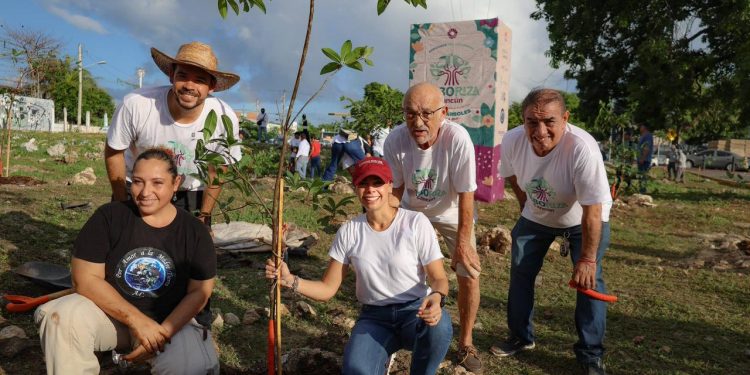 Cancún, por primera vez, recibirá el reconocimiento “Ciudad Árbol del Mundo 2025”