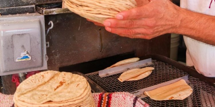 Precio de la tortilla en México subiría hasta cuatro pesos, alertan productores