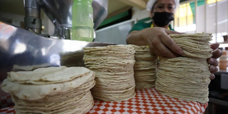 Precio de la tortilla Quintana Roo sube hasta 2 pesos