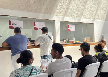 Canje de placas SATQ: último día y requisitos