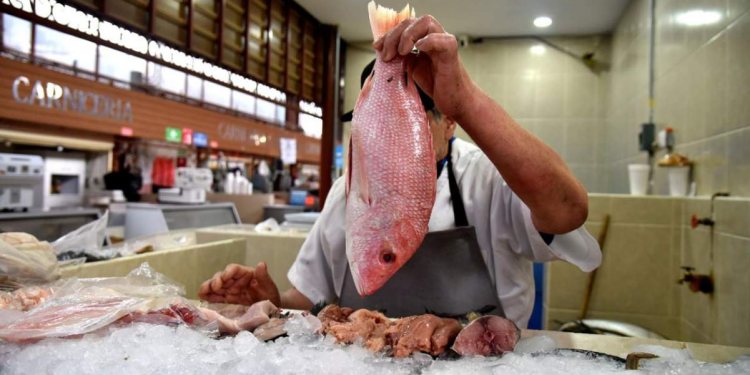 Medidas de higiene en alimentos: Prevención clave