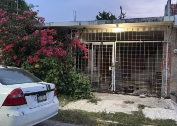Denuncian perros muertos y abandono en vivienda de Chetumal