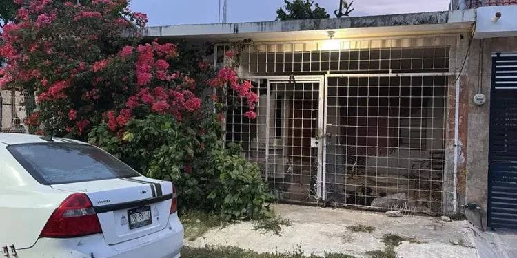 Denuncian perros muertos y abandono en vivienda de Chetumal