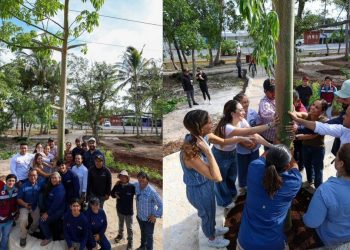 Ana Paty Peralta reafirma compromiso ambiental con trasplante de ceiba en Cancun