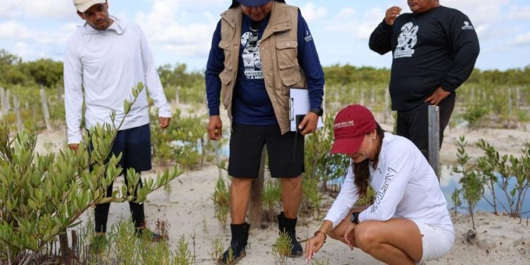 Ana Paty Peralta une esfuerzos para proteger manglares en la Laguna Nichupte