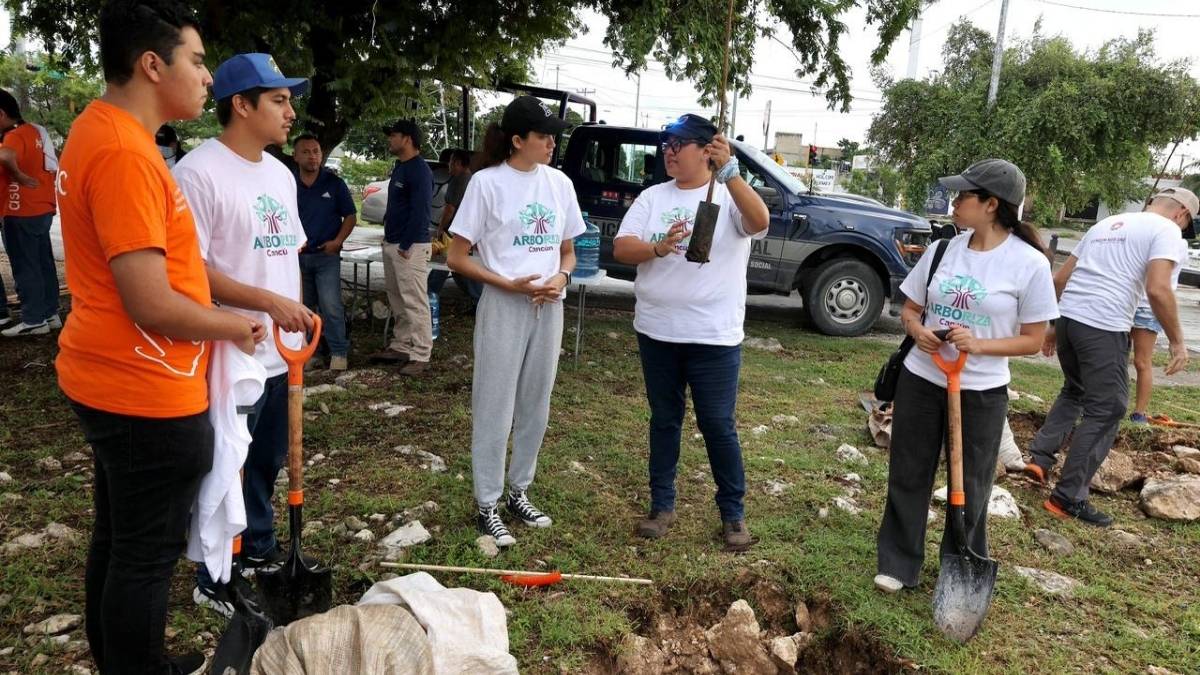 Arboriza Cancún ya suma casi 3 mil árboles sembrados