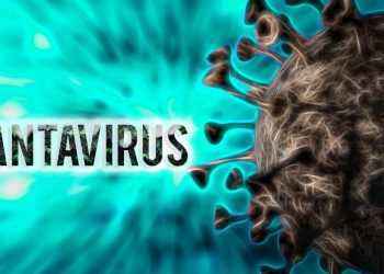 Argentina supera el umbral de brote de hantavirus en 2026 casos aumentan y encienden alertas tras crisis en crucero
