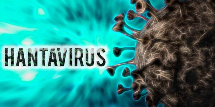 Argentina supera el umbral de brote de hantavirus en 2026 casos aumentan y encienden alertas tras crisis en crucero