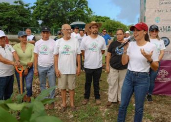 Con Arboriza Cancun transforman espacios publicos y escuelas con reforestacion