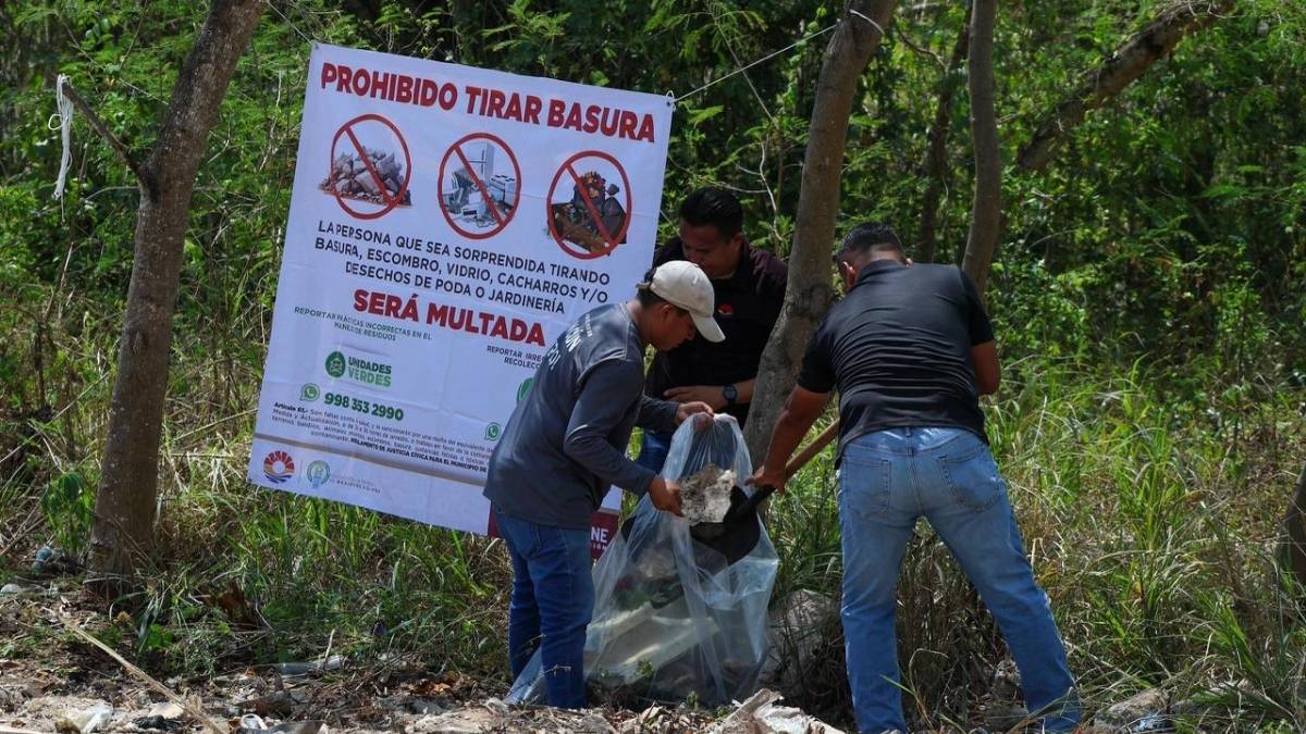 Donde reportar un basurero clandestino en Cancun