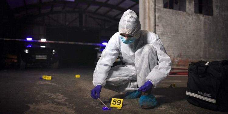 Gobierno de Mexico reporta reduccion del 40 por ciento en homicidios dolosos durante administracion de Sheinbaum
